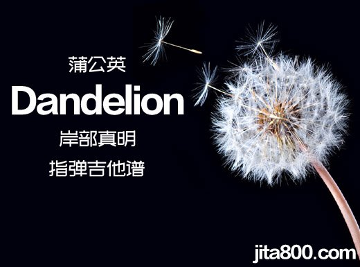 <b>岸部真明《Dandelion》蒲公英指弹谱 Dandelion吉他独奏谱 </b>