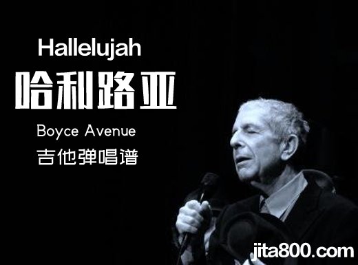 <b>哈利路亚吉他谱 哈利路亚《Hallelujah》吉他弹唱谱 六线谱</b>